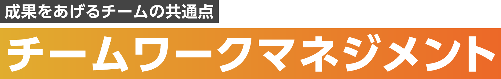 成果をあげるチームの共通点 チームワークマネジメント